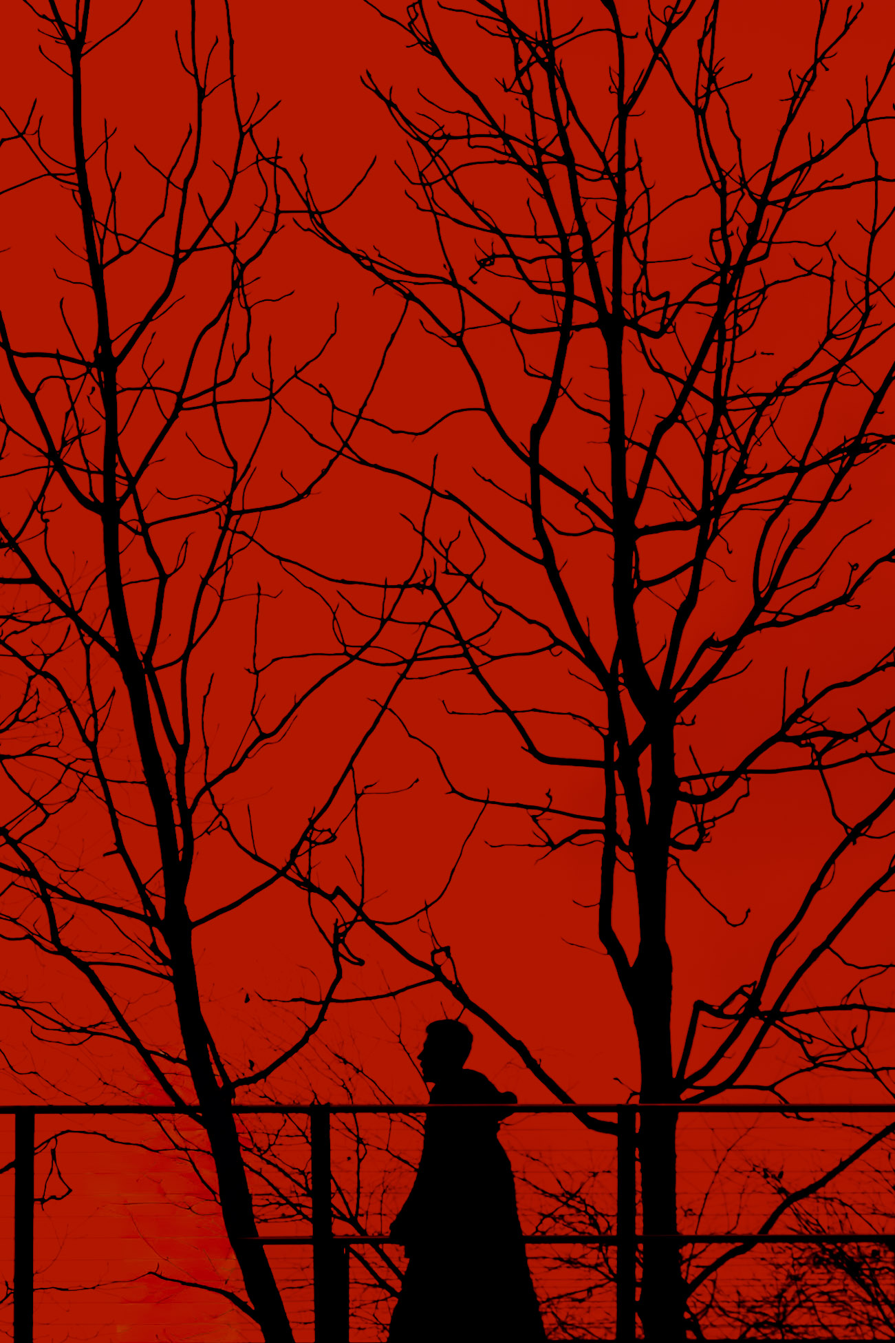 Crimson Bridge